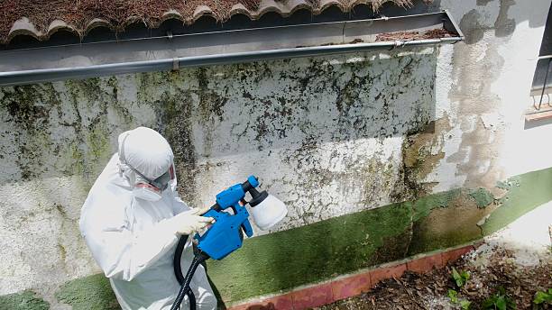 Mold Removal service in Unionville